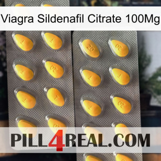 Viagra Sildenafil Citrate 100Mg cialis2